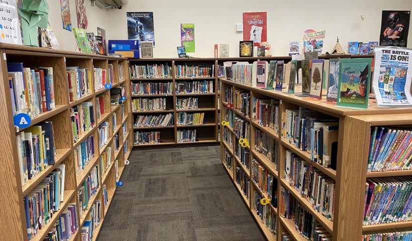 library book shelves